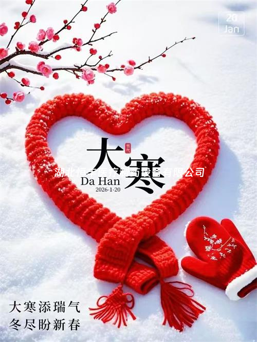 雪落大寒，蓄力待春，新歲啟新程！