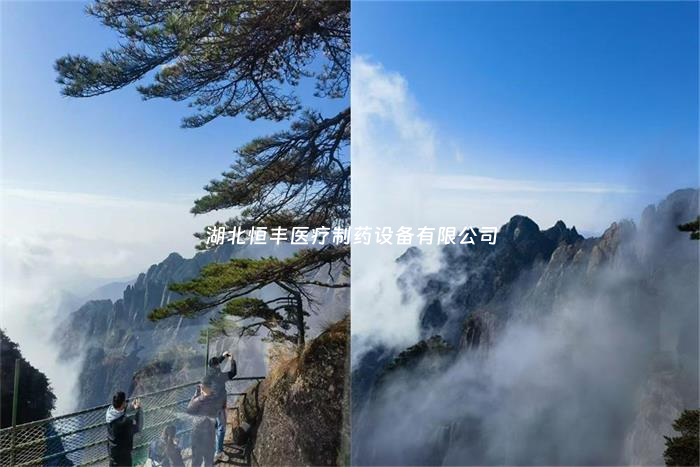 山水共赴，同心向前——湖北恒豐醫(yī)療2026年度迎新聚力之旅